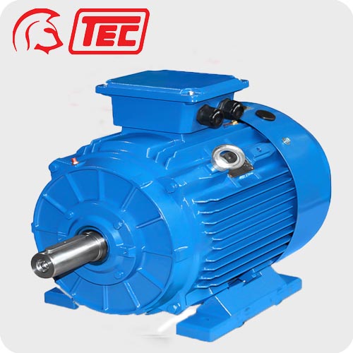 TEC Spartan, Premium Robust, 3 Phase Motors, 0.75kW to 200kW
