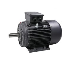 TECC3, 3 Phase, 250kW, 4 pole, IE3 Premium Efficiency Motor