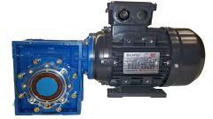 TEC Worm Gearmotor